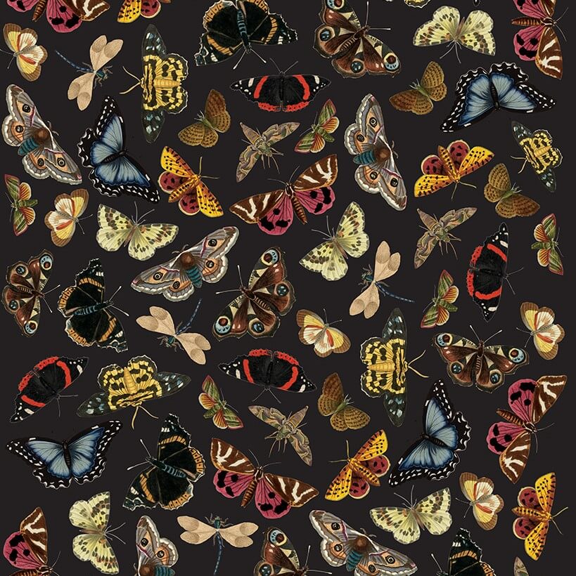 Découpage Papier Winged Wildlife