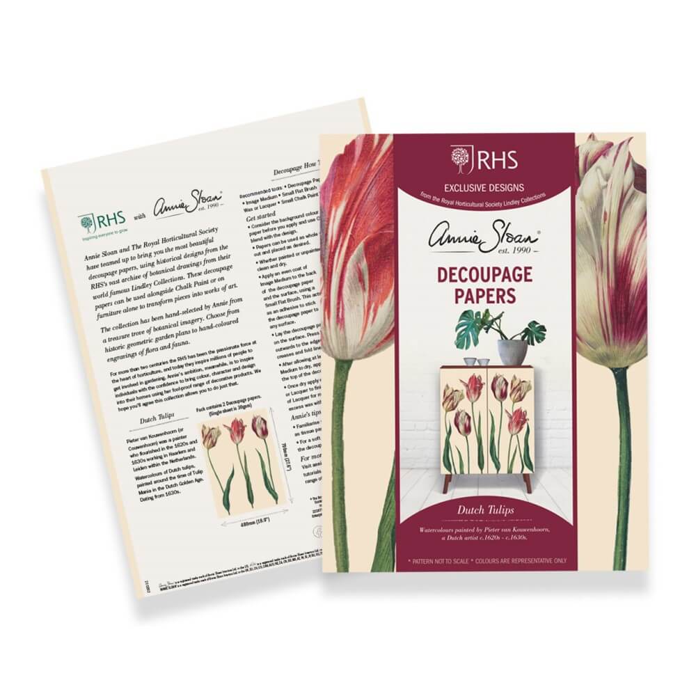 Découpage Papier Tulips