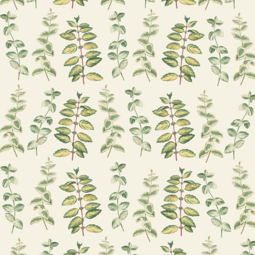 Découpage Papier Mint