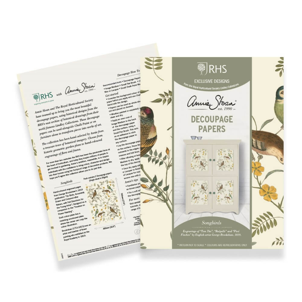 Découpage Papier Songbirds