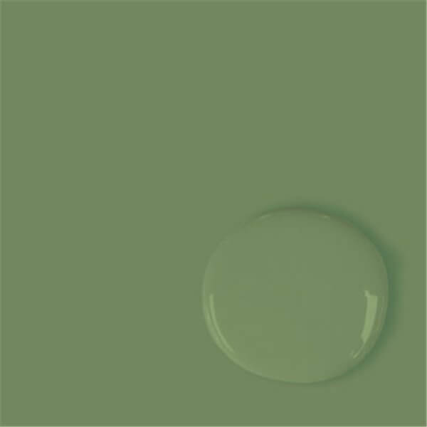 Kreidefarbe RHS Capability Green