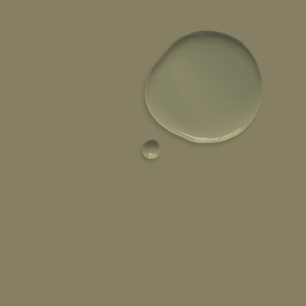 Wandfarbe Olive